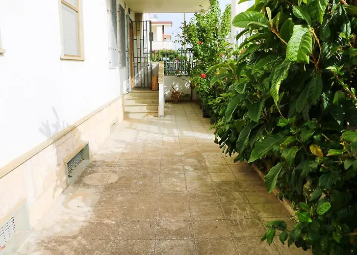 Le Del Vento - Libeccio *